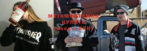 прущие грибы Няндома