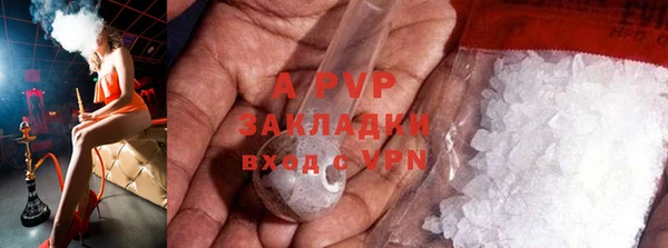 прущие грибы Няндома