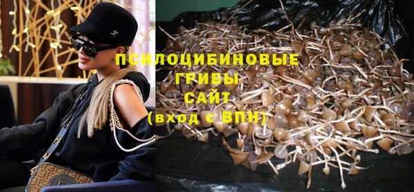 прущие грибы Няндома