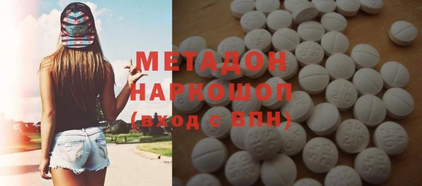 прущие грибы Няндома