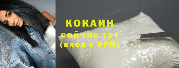 прущие грибы Няндома