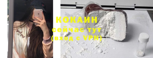 прущие грибы Няндома