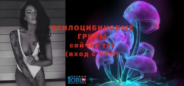 прущие грибы Няндома