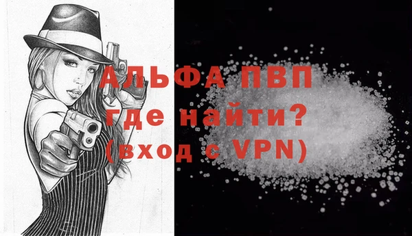 прущие грибы Няндома