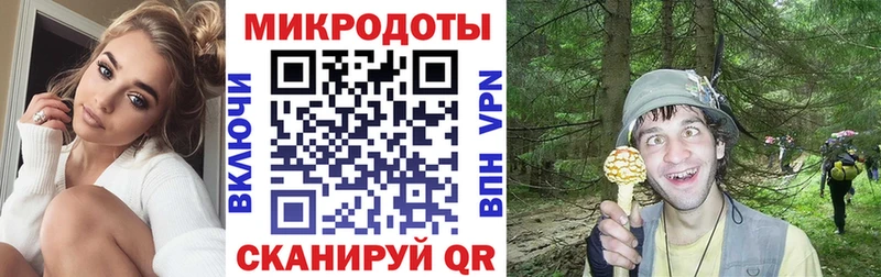 Псилоцибиновые грибы мухоморы  Сокол 
